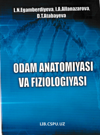 Odam anatomiyasi va fizialogiyasi